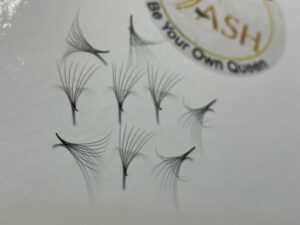 Alternative view of 7D Premade loose fans