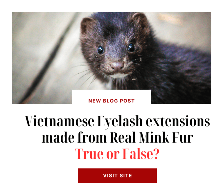 Vietnamese Eyelash extensions made from Real Mink Fur-True or False?