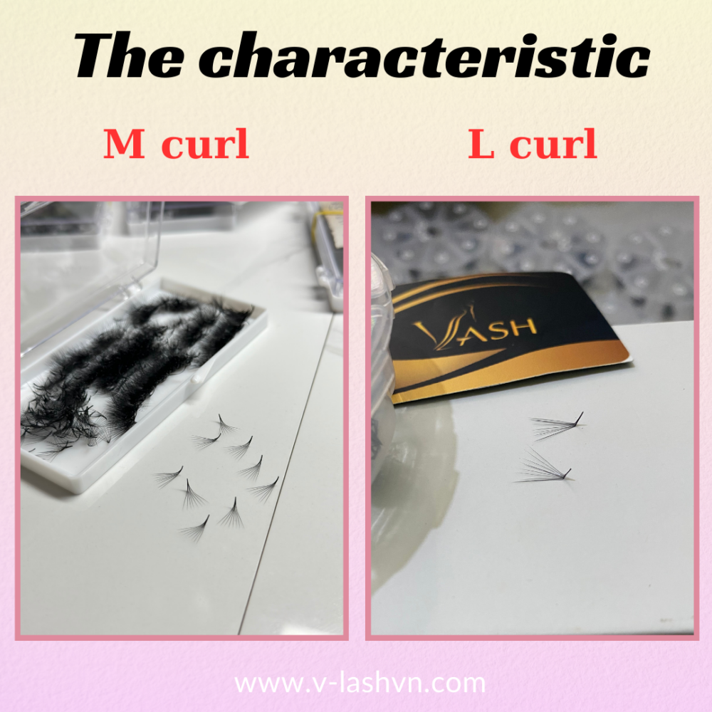 The characteristic of L and M curls of pomade fans
